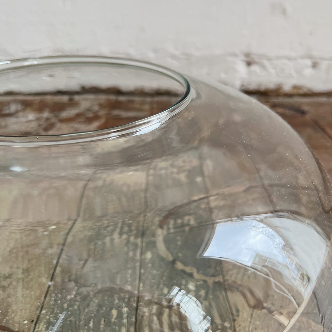 Acuario Viana - Imagen 2